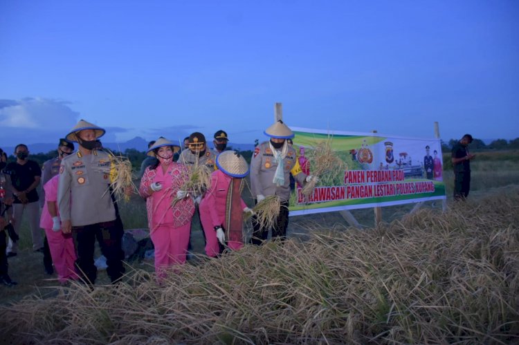 Kapolda NTT Apresiasi Jajaran Polres Kupang Bantu Pemerintah dalam Ketahanan Pangan