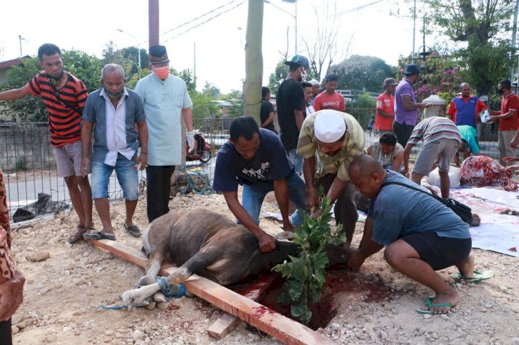 Hari Raya Idul Adha 1441 H, Polda NTT Distribusikan 2000 paket daging kurban ke Panti Asuhan