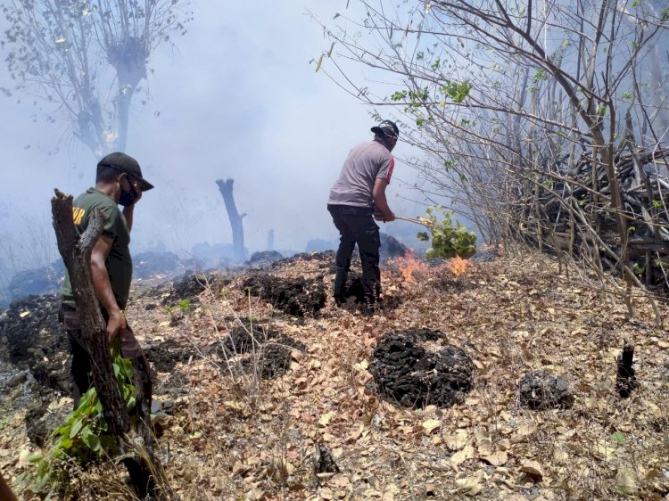 Anggota Polsubsektor Manamas Bantu padamkan Sijago Merah yang menyambar lahan warga