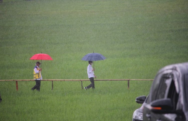 Tinjau Food Estate di Sumba Tengah, Presiden :  Kita Ingin Kelola Agar Satu Tahun Bisa Dua Kali Panen Padi dan Sekali Panen Jagung atau Kedelai