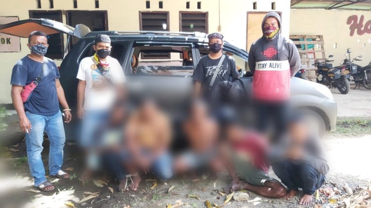 Polres Sikka Berhasil Membekuk Lima Orang Pelaku Pencurian yang Meresahkan Masyarakat