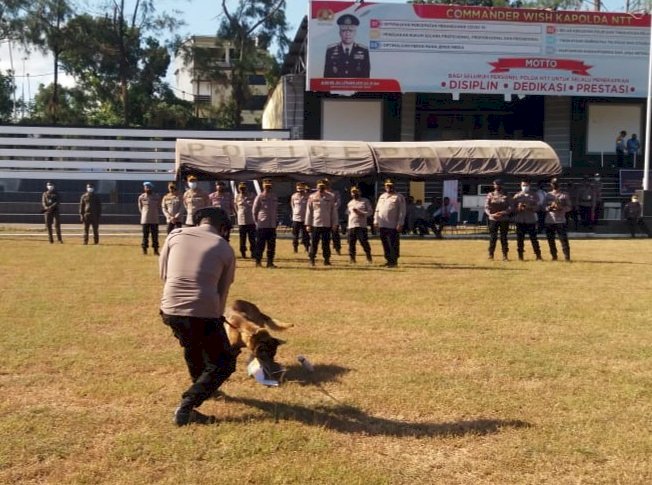 Kapolda NTT Ingatkan Jajarannya Tingkatkan Kemampuan Anjing Pelacak