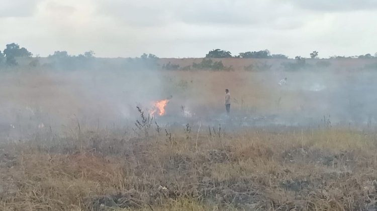 Lahap 3 Hektar Lahan, Si Jago Merah Berhasil Dipadamkan Anggota Polda NTT