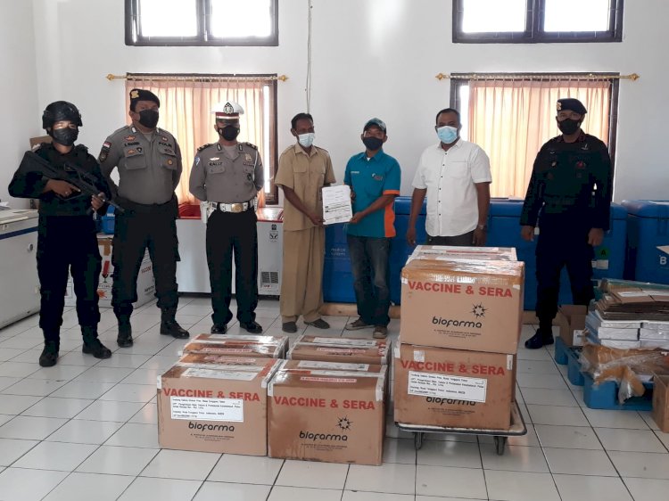 13.000 Vial Vaksin Jenis Coronavac Tiba di Kupang dikawal VVIP Oleh Personil Polda NTT