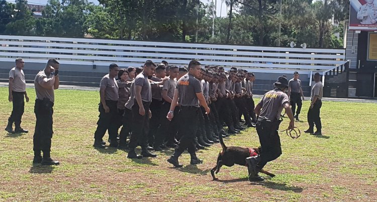 Tingkatkan Kemampuan Dalmas, Unit Satwa (K - 9) Ditsamapta Polda NTT Pun Dikerahkan