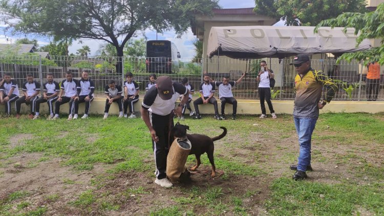 Aipda Vinsensius Loye Kenalkan Fungsi Polsatwa Kepada Para Bintara Remaja Ditsamapta Polda NTT