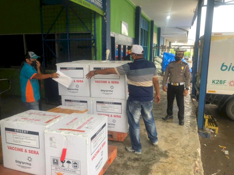 Tiba Pagi Ini 32.200 Vial Coronavac Untuk Percepatan Vaksinasi di NTT, Dikawal VVIP Personel Polda NTT