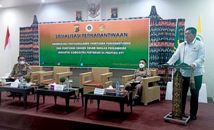 Jadi Narasumber, Dirkrimsus Polda NTT: Kami Dukung dalam Penegakan Hukum Pelanggaran Perkarantinaan