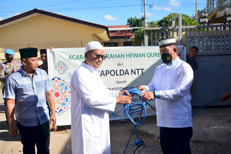 Sambut Perayaan Idul Adha 1443 Hijriah, Polda NTT Beri Sumbangan Hewan Kurban di Dua Mesjid