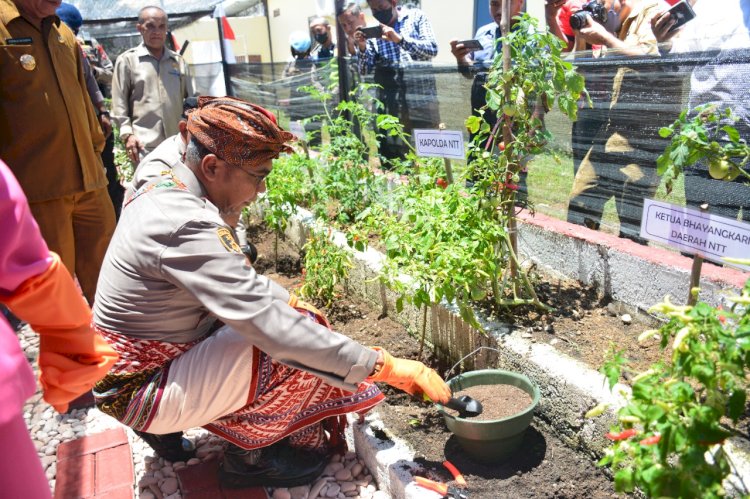 Kapolda NTT Apresiasi P2L Bhayangkari Cabang dan Kolam Ikan Air Tawar Polres Kupang