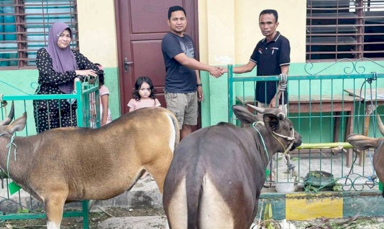 Jelang Idul Adha 1443 H, Polres Belu Sumbang 4 ekor Sapi Kurban untuk Masjid dan Panti Asuhan