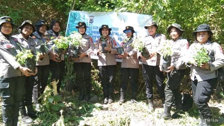 Dukung Pemerintah dalam Pencegahan Stunting, Kapolsek Alor Barat Daya Pimpin Penanaman Ribuan Anakan Kelor