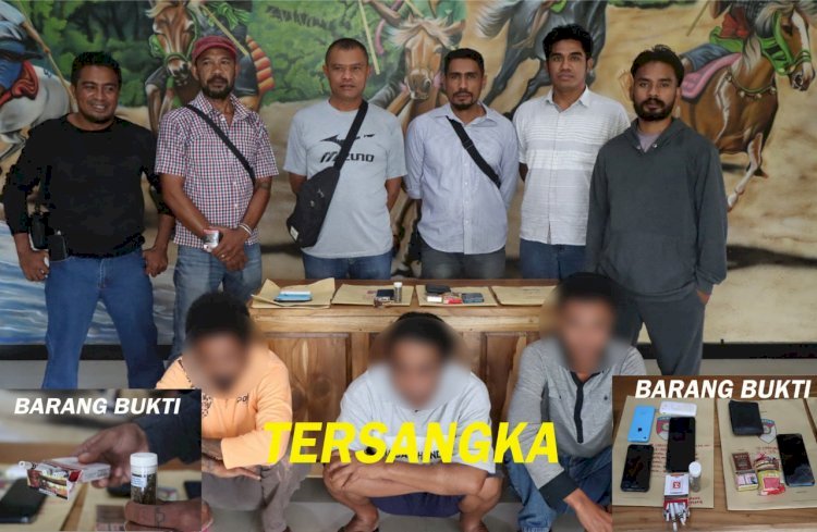 Ungkap Sindikat Narkoba , Sat Narkoba Polres Sumba Barat Amankan Tiga Orang Pelaku Beserta Barang Bukti