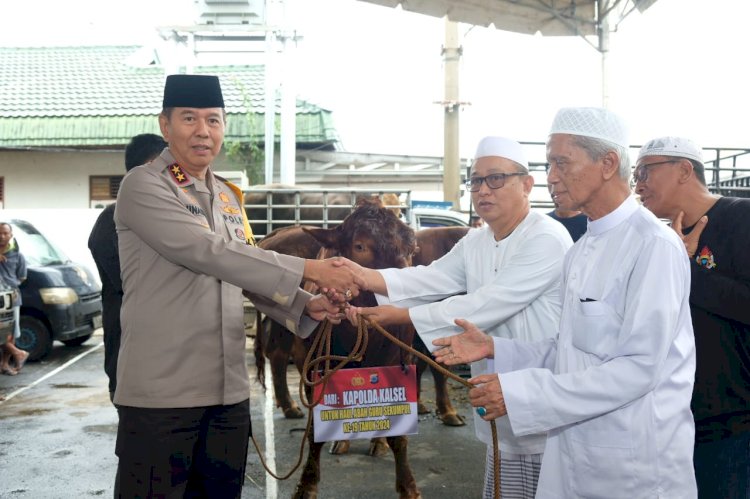 Kapolri dan Kapolda Kalsel Sumbang Sapi Limousine untuk Peringatan Haul Abah Guru Sekumpul