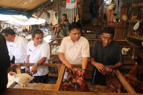 Polda NTT pantau harga pangan khusus komoditi daging ayam