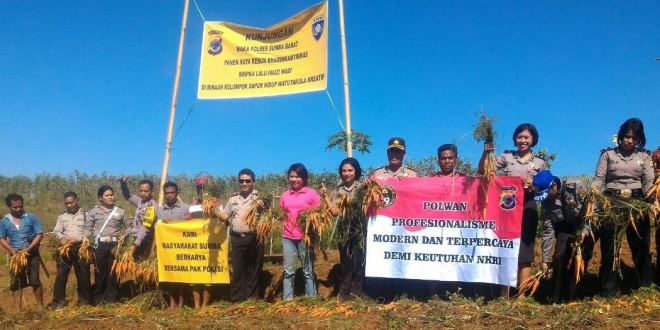 Peringati HUT Polwan Ke – 69, Polwan Polres Sumba Barat panen raya di Dapur Hidup