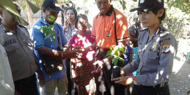 Warga Desa Kabuna Terima Puluhan Anakan Pohon Pelindung dari Polwan Polres Belu