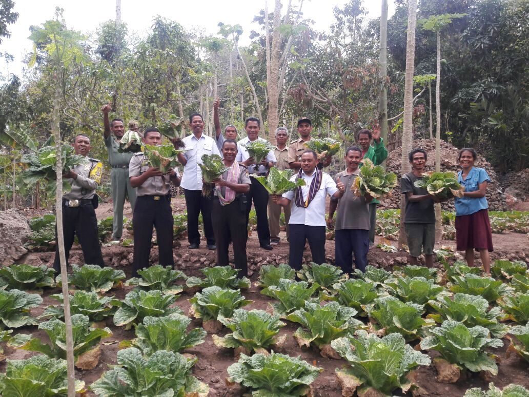 Kasat Binmas Polres TTS Tinjau Kebun Warga Hasil Binaan Bhabinkamtibmas