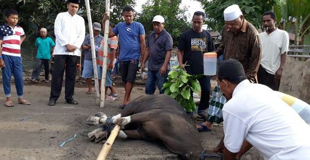 Pantau penyembelian hewan kurban, Kapolres Flotim buka Pos Kopi Manis