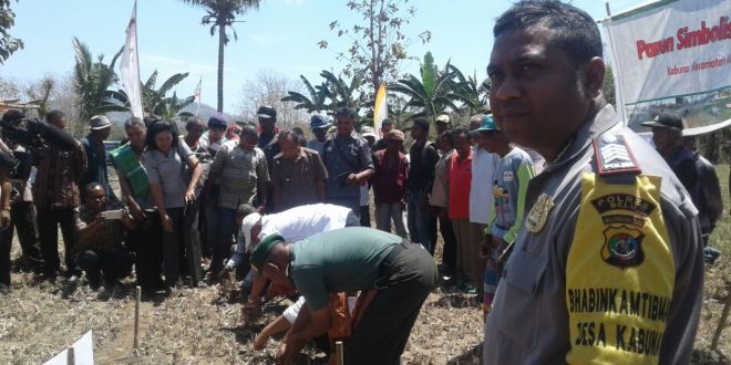 Bhabinkamtibmas Kabuna Pantau Kegiatan Panen Bawang Merah oleh Bupati Belu