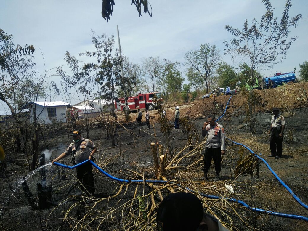 Lahan Warga Hoder berhasil dipadamkan oleh Personil Dalmas Polres Sikka dan Damkar Sikka