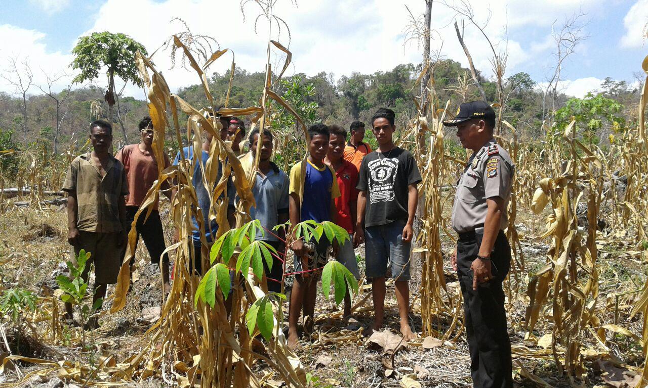 Kapolsek Kodi sambangi masyarakat sampaikan himbauan hindari bakar lahan