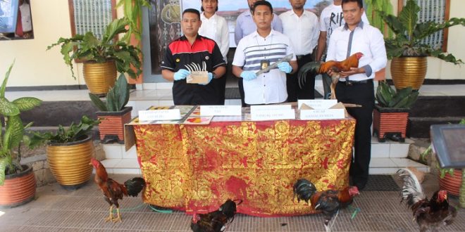 Polres Rote Ndao grebek judi sabung ayam