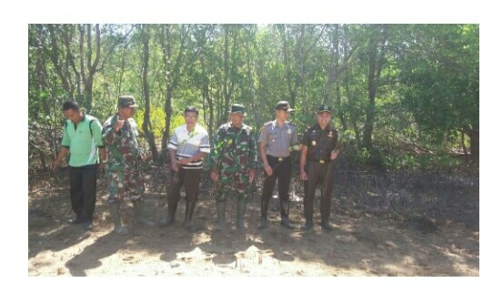 Kapolsek Reok ikuti kegiatan penanaman Pohon Mangrove di Pantai Nanga Banda