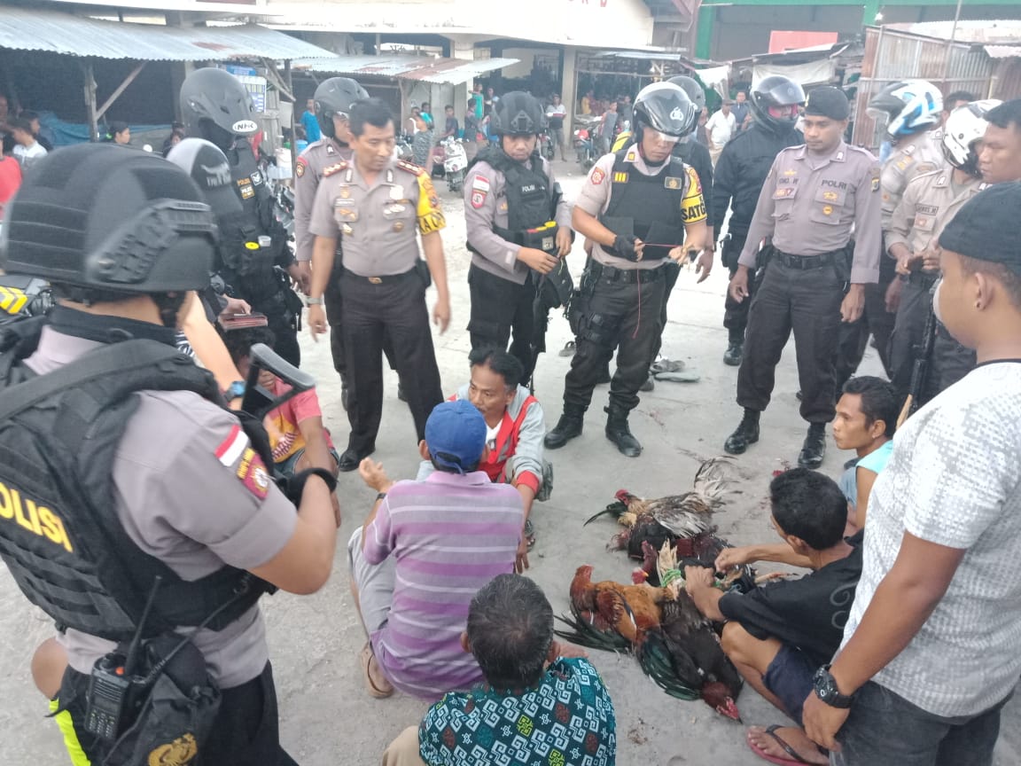 Kapolres Kupang Kota Pimpin Pengrebekan Judi Sabung Ayam