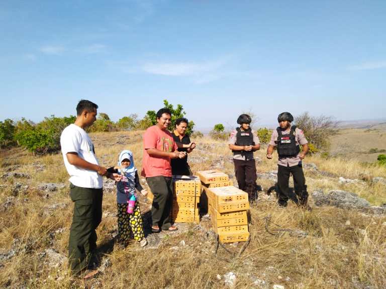 Patroli Rutin, Brimob Subden 3 Den A Pelopor Sumba Amankan Ratusan Burung