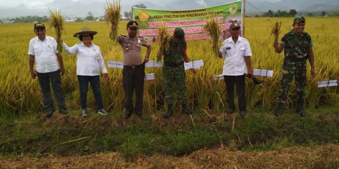 Kapolsek Lembor Hadiri Temu Lapang BPTP Bersama Petani Lembor