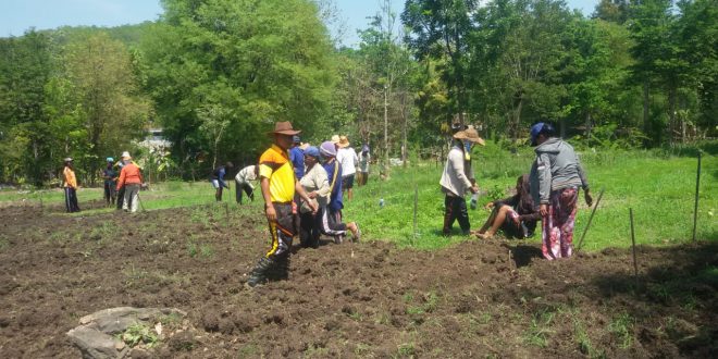 Sukses bina kelompok tani, Brigpol Virmon ajak warga olah lahan kosong di Polres TTU