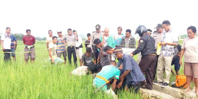 Penemuan Mayat di Selokan Sawah, Polsek Wewewa Timur Amankan TKP