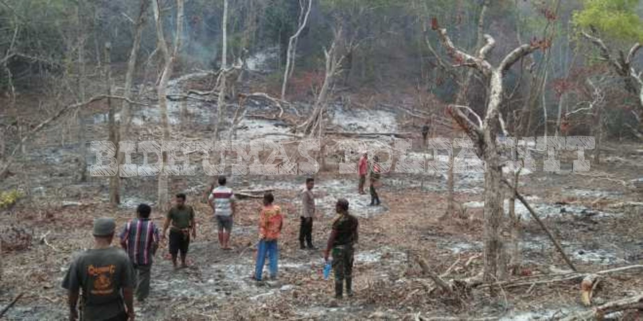 Penyidik Polsek Pahunga Lodu Limpahkan Kasus Pembakaran Lahan ke JPU