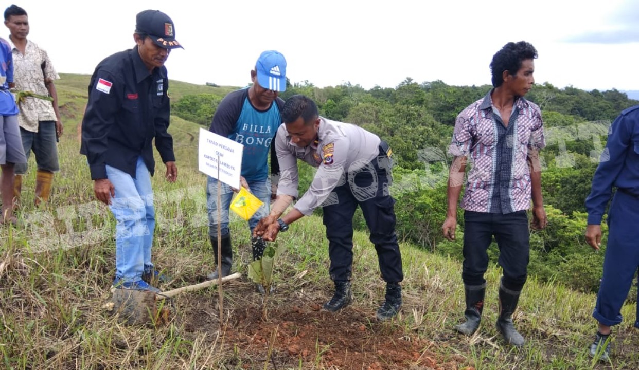 Penanaman Anakan Jati di Hutan Bodohulla, Personel Polsek Lamboya Laksanakan Pengamanan