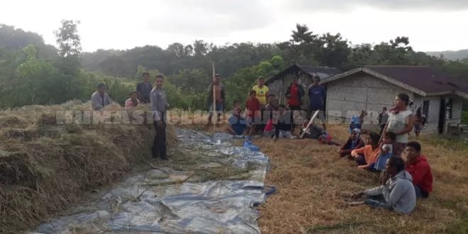 Pesan dan Imbauan Si Tangan Dingin dari Desa Uburaya