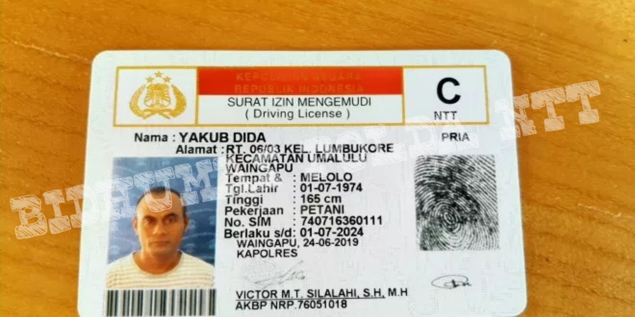 Satlantas Polres Sumba Timur Bagikan SIM C Gratis Bagi Warga Yang Berulang Tahun Tanggal 1 Juli