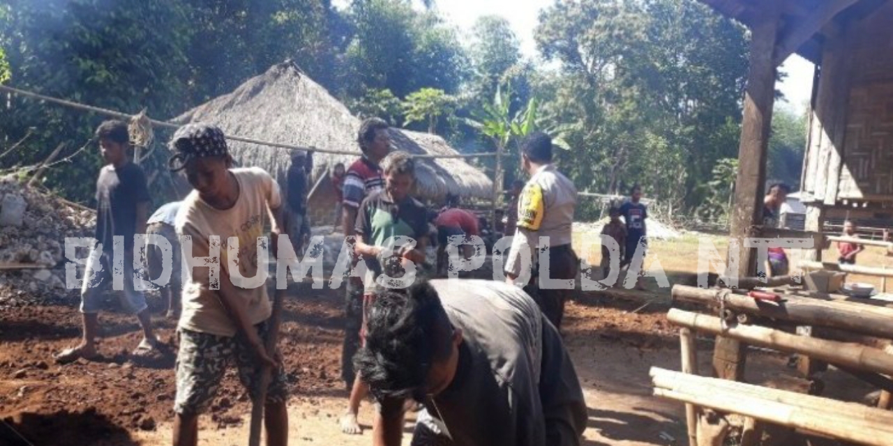 Bersama Warga Binaan, Bhabinkamtibmas Polres Sumba Barat Gotong Royong Bangun Rumah Salah satu Warga di Kampung Kalembu Atur