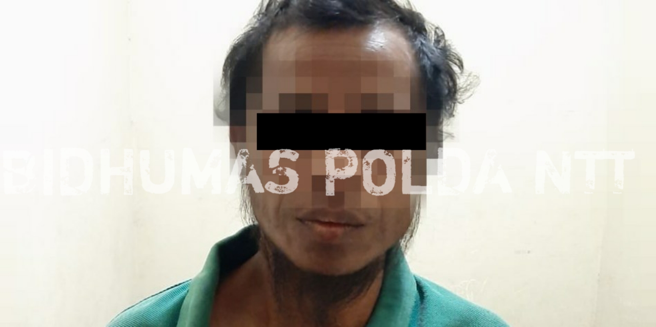 Tim Gabungan Polres Sumba Timur Berhasil Amankan DPO Kasus Pencurian