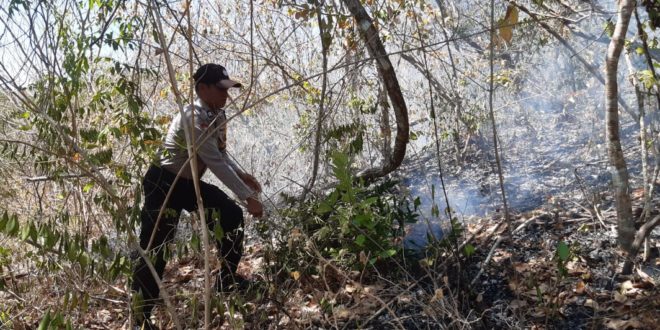 Bhabinkamtibmas Bersama Masyarakat Padamkan Api Di Bukit Cagar Alam