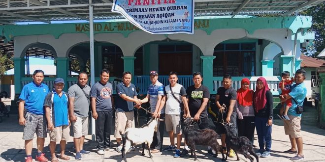 Sebagai Bentuk Kepedulian Sosial Polres TTU Serahkan 10 Hewan Kurban