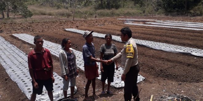 Turun di Kebun Bawang, Brigpol Josep Ajak Warga Binaan Jaga Persatuan dan Kesatuan Bangsa