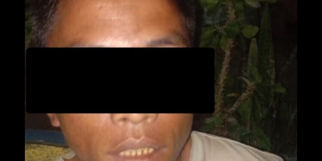 Tim Polsek Loura Sumba Barat Berhasil Menangkap DPO Kasus Pencurian Ternak