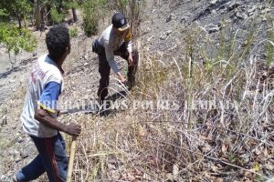 Brigpol Firmon Bantu Warga Bersihkan Kebun