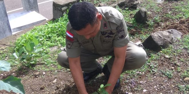 Peduli Penghijauan, Pospol Napan Tanam Anakan Pohon