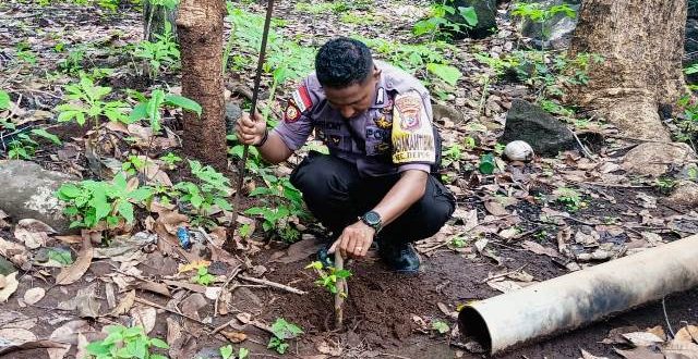 Peduli Lingkungan, Brigpol Aloysius Lakukan Penenanam Di Lokasi Mata Air