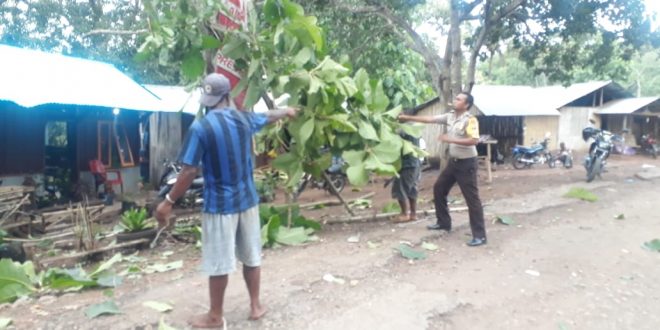 Brigpol Yohanes Namang Bantu Tebang Pohon di Pekarangan Rumah Warga